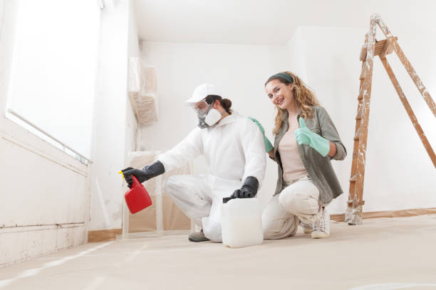 Best Mold Damage Restoration  in Brownsville, TX